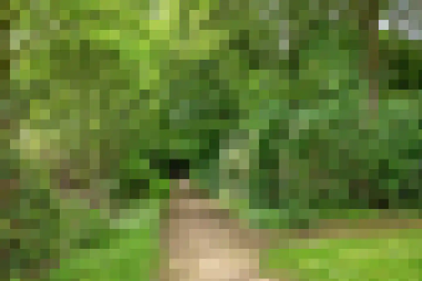 Maalakker 20 Eindhoven thumbnail 27