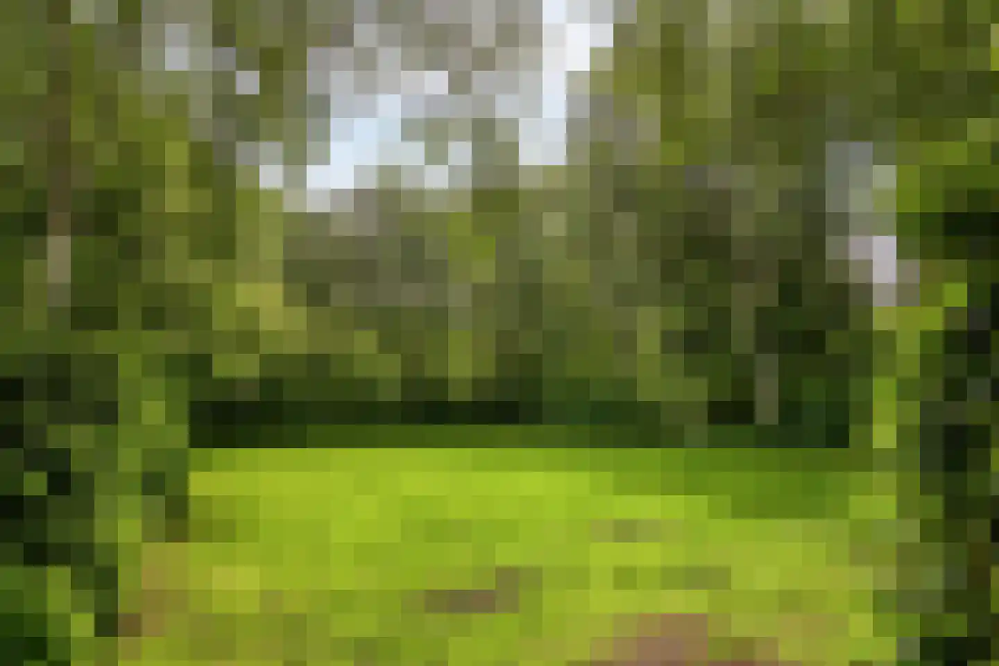 Maalakker 20 Eindhoven thumbnail 28