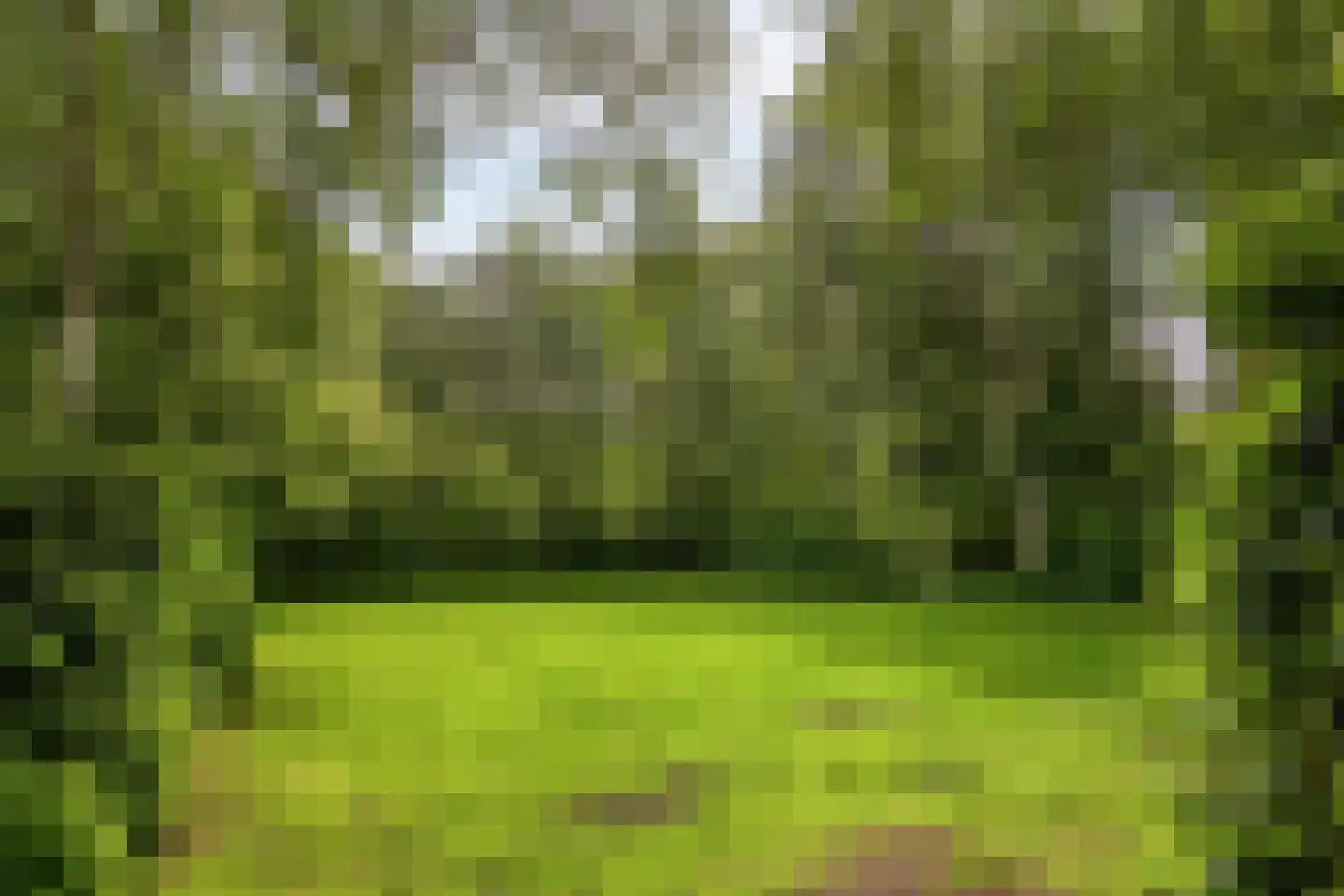 Maalakker 20 Eindhoven thumbnail 33