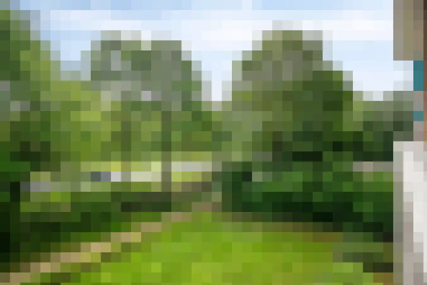 Maalakker 20 Eindhoven thumbnail 4