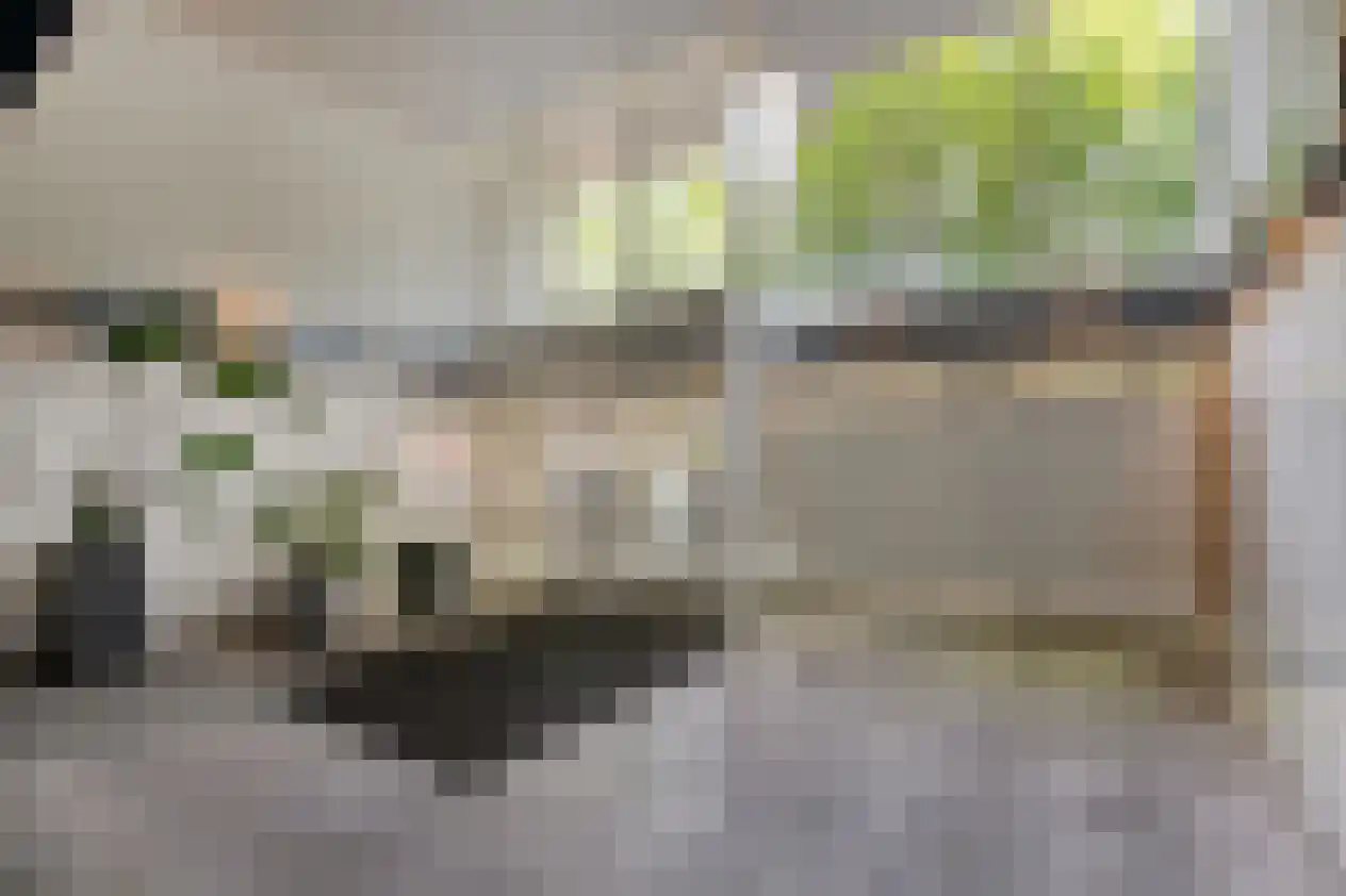 Maalakker 20 Eindhoven thumbnail 7