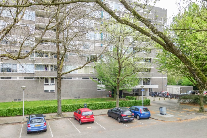 Maalakker 30 en Eindhoven foto