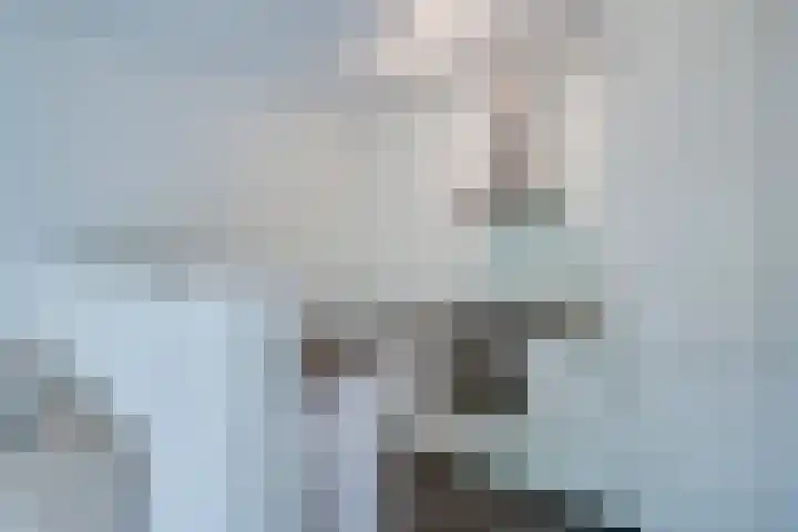 Maalakker 30 Eindhoven thumbnail 20