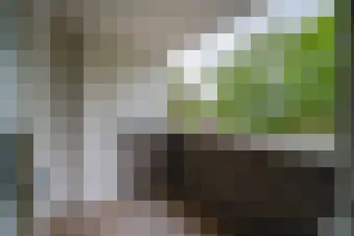 Maalakker 30 Eindhoven thumbnail 28