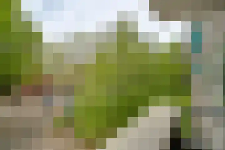 Maalakker 30 Eindhoven thumbnail 29