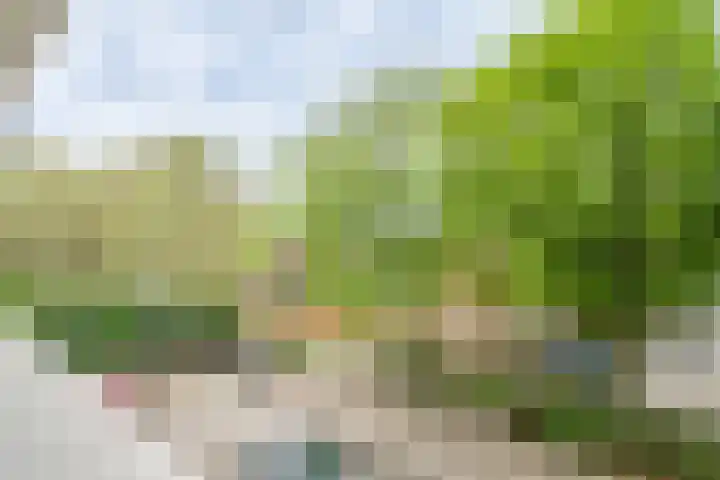 Maalakker 30 Eindhoven thumbnail 30