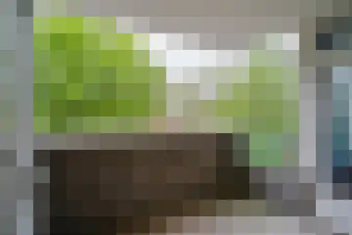 Maalakker 30 Eindhoven thumbnail 35