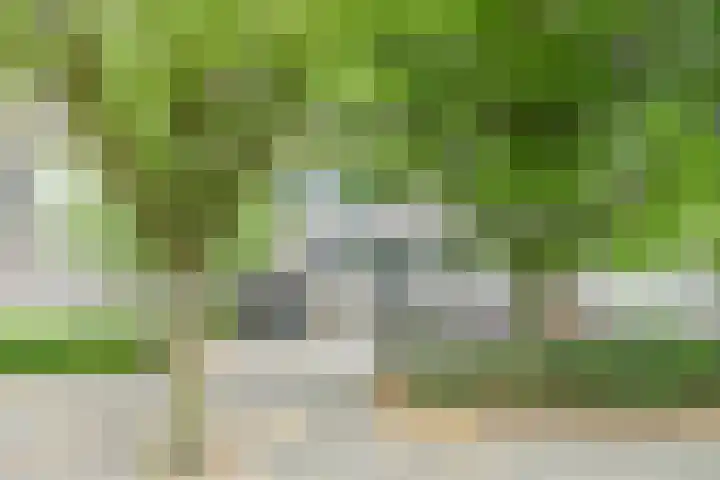 Maalakker 30 Eindhoven thumbnail 5