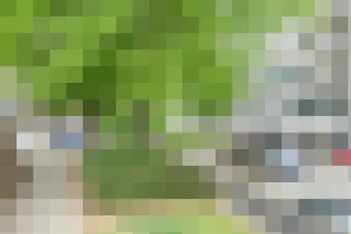 Maalakker 30 Eindhoven thumbnail 6