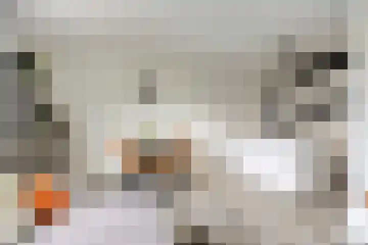 Maalakker 50 A Eindhoven thumbnail 10
