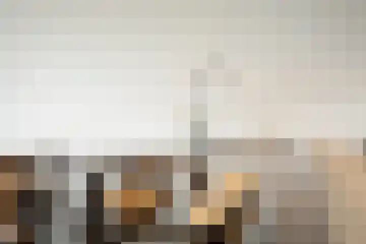 Maalakker 50 A Eindhoven thumbnail 18
