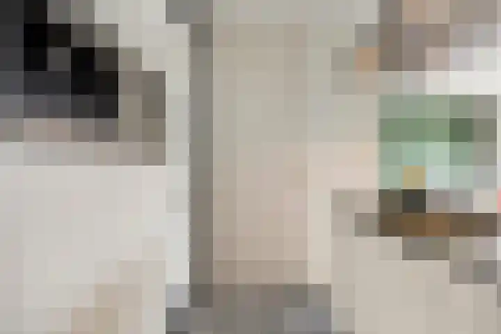 Maalakker 50 A Eindhoven thumbnail 20