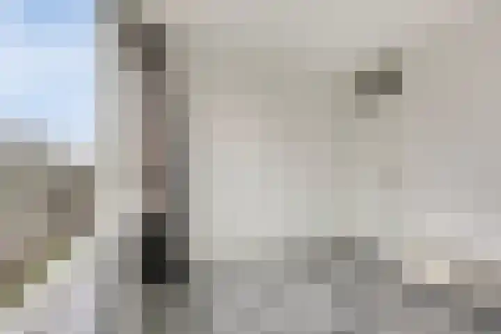 Maalakker 50 A Eindhoven thumbnail 29
