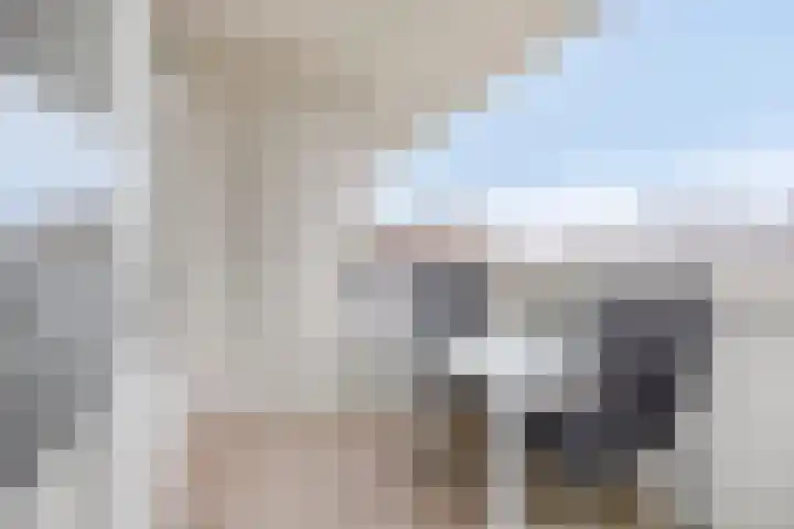 Maalakker 50 A Eindhoven thumbnail 31