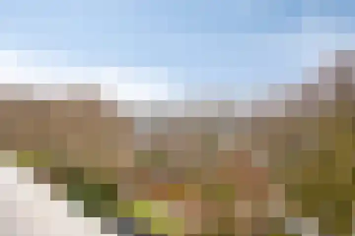 Maalakker 50 A Eindhoven thumbnail 34