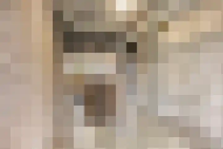 Maalakker 50 A Eindhoven thumbnail 44