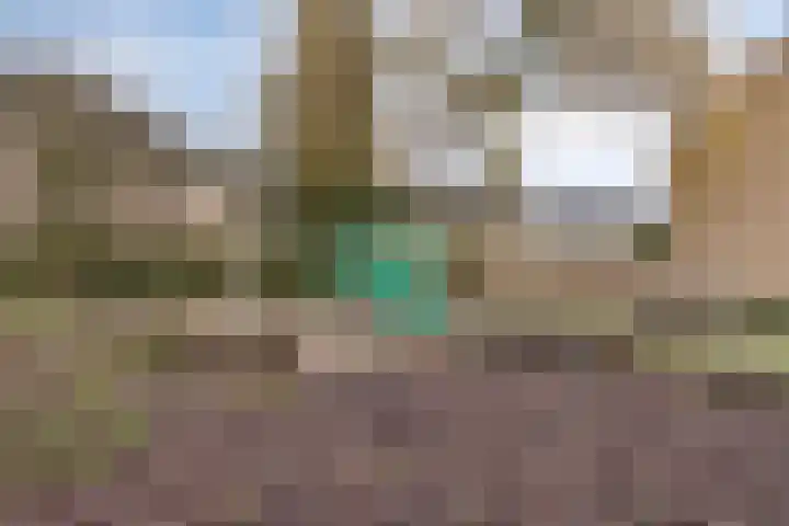 Maalakker 50 A Eindhoven thumbnail 51