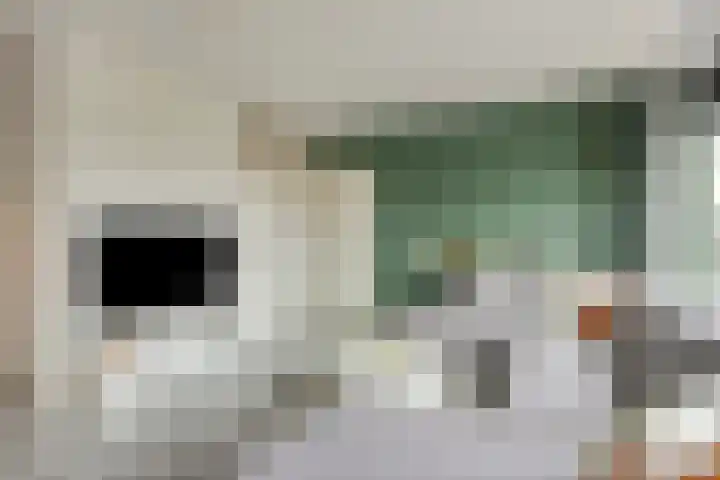 Maalakker 50 A Eindhoven thumbnail 7