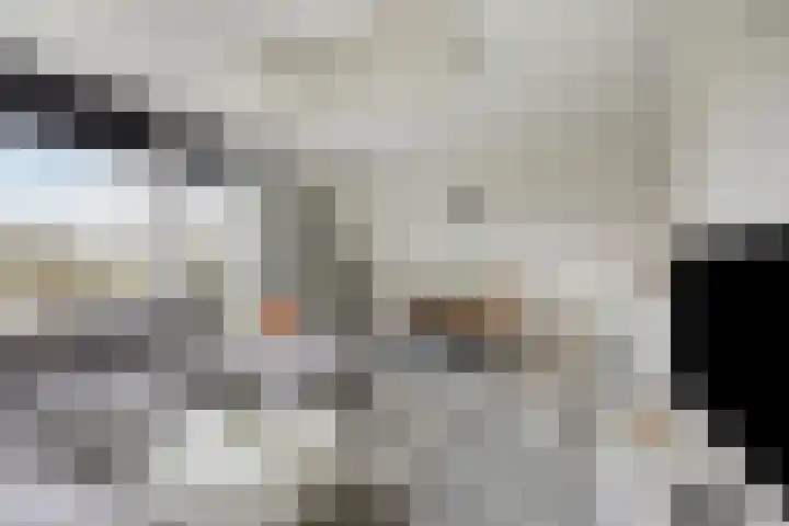 Maalakker 50 A Eindhoven thumbnail 8