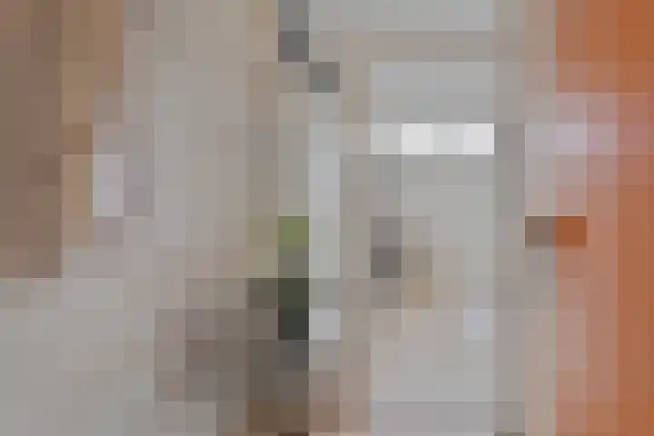 Maalakker 52 A Eindhoven thumbnail 11