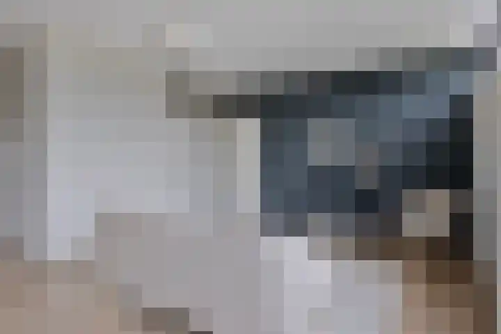 Maalakker 52 A Eindhoven thumbnail 14