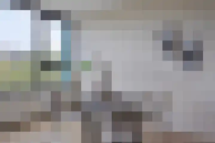 Maalakker 52 A Eindhoven thumbnail 16