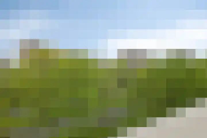 Maalakker 52 A Eindhoven thumbnail 31