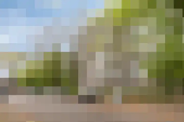 Maalakker 52 A Eindhoven thumbnail 36
