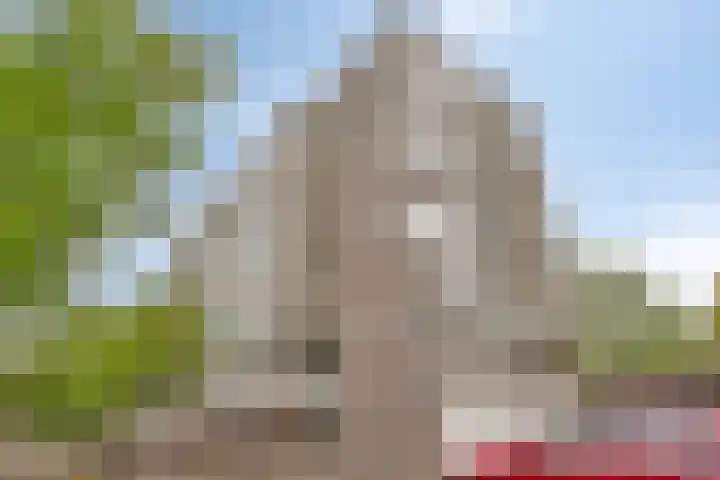 Maalakker 52 A Eindhoven thumbnail 37