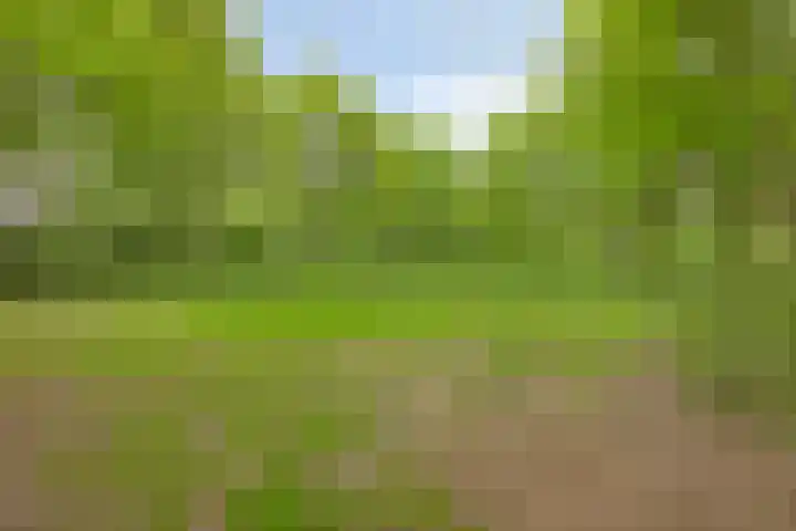 Maalakker 52 A Eindhoven thumbnail 38