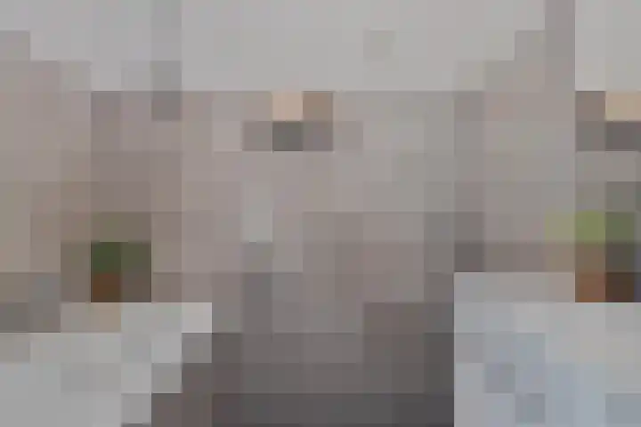 Maalakker 52 A Eindhoven thumbnail 5