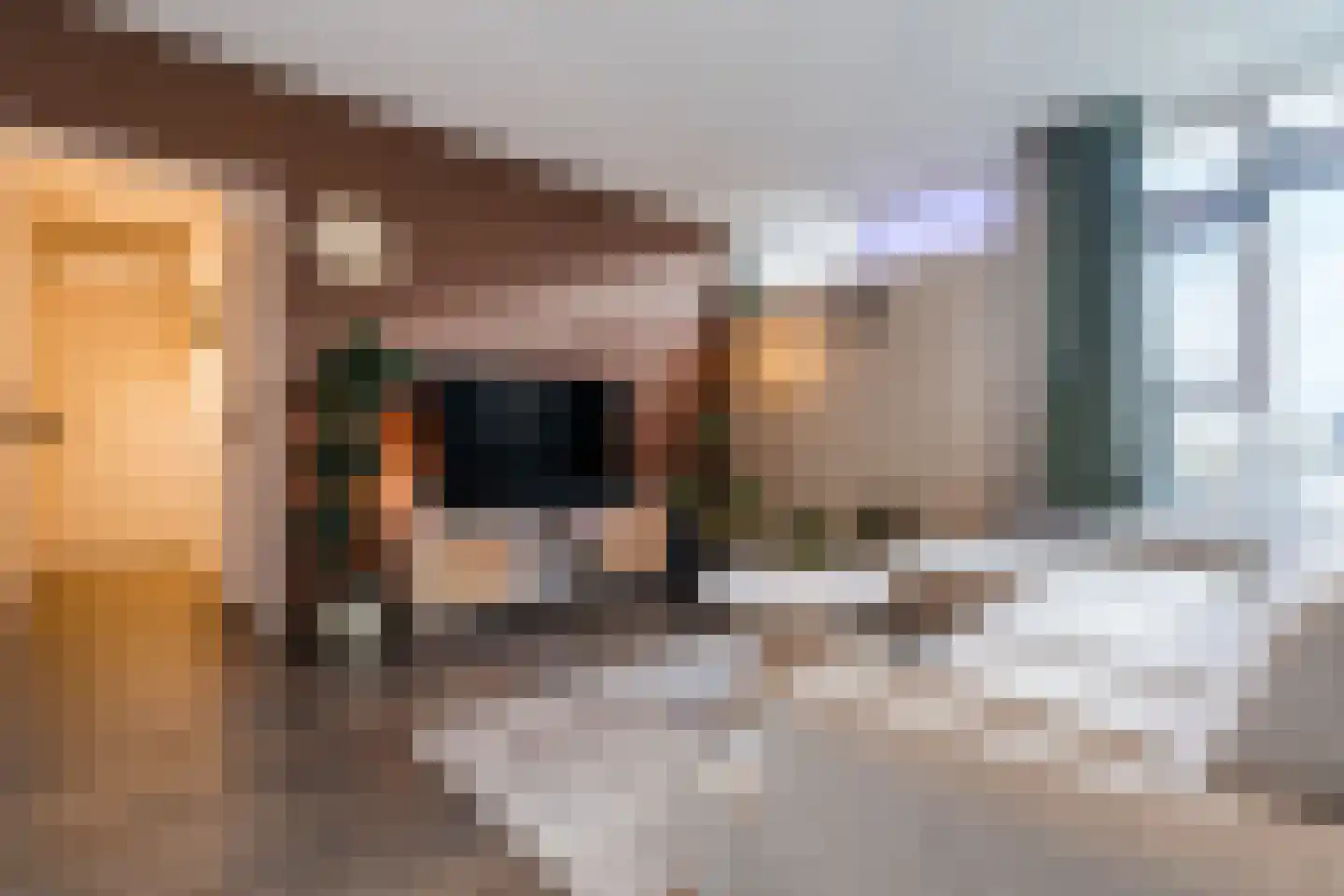 Maalakker 54 A Eindhoven thumbnail 13