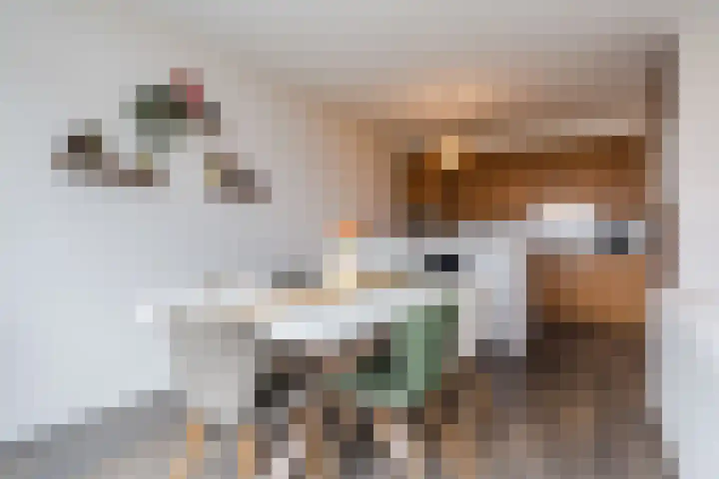 Maalakker 54 A Eindhoven thumbnail 19