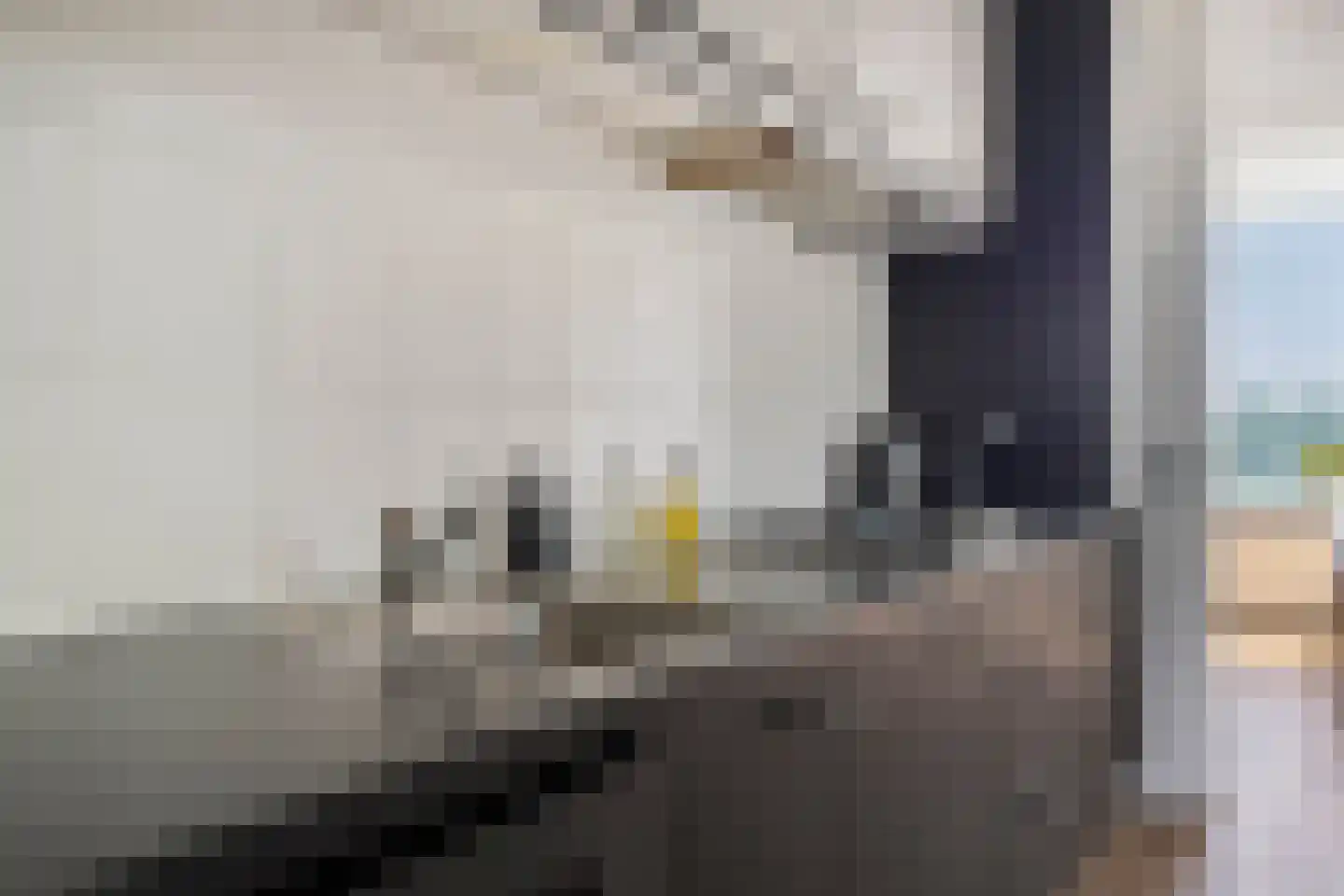 Maalakker 56 Eindhoven thumbnail 19