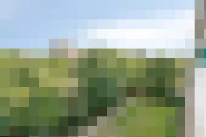 Maalakker 56 Eindhoven thumbnail 24