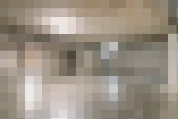 Maalakker 56 Eindhoven thumbnail 28