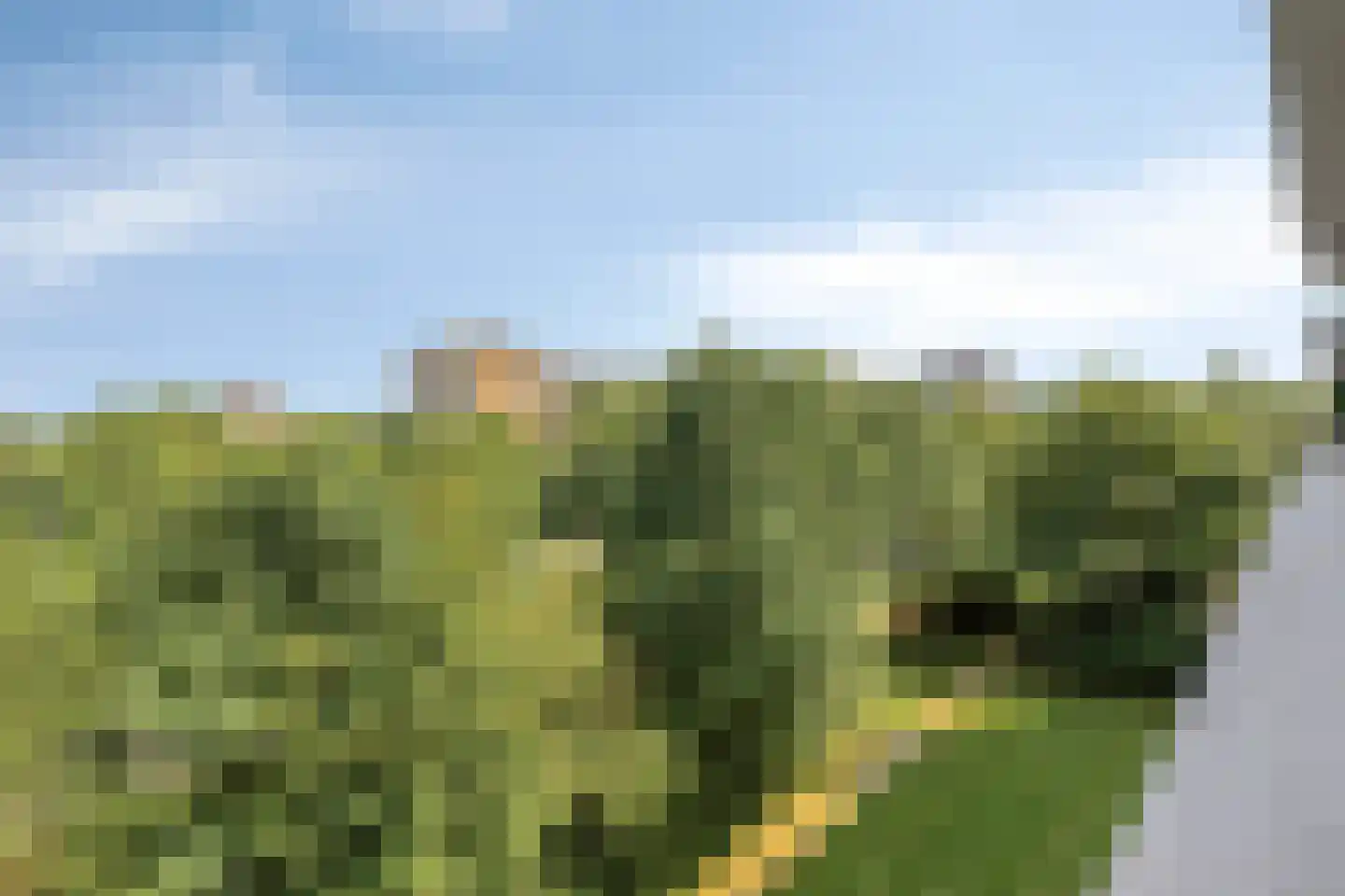 Maalakker 56 Eindhoven thumbnail 29