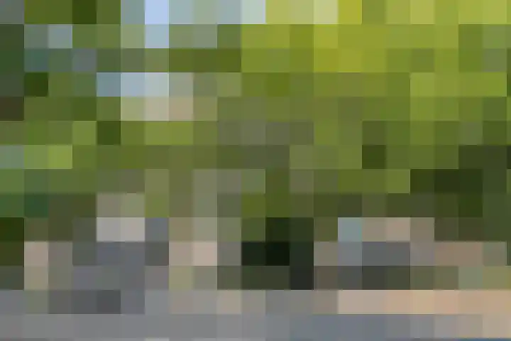 Maalakker 56 Eindhoven thumbnail 30