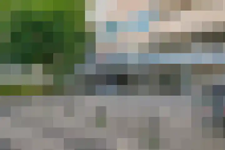 Maalakker 56 Eindhoven thumbnail 32