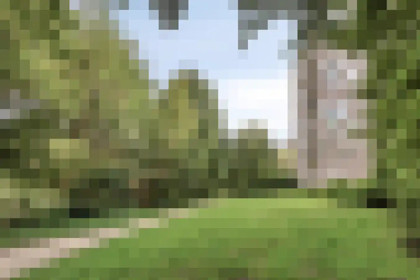 Maalakker 56 Eindhoven thumbnail 38
