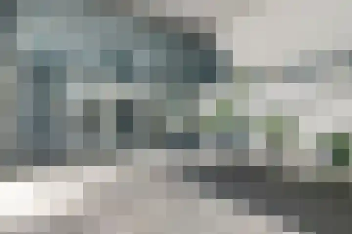 Maalakker 56 Eindhoven thumbnail 7