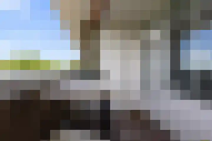 Maalakker 60 Eindhoven thumbnail 13