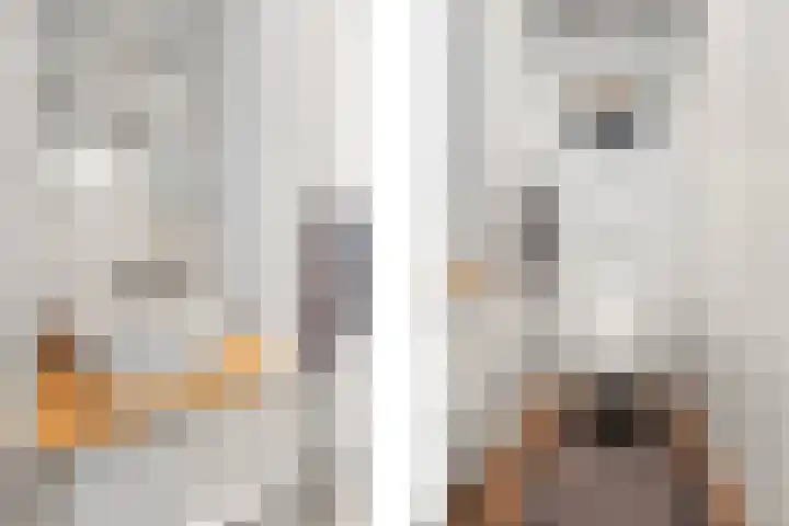 Maalakker 60 Eindhoven thumbnail 14