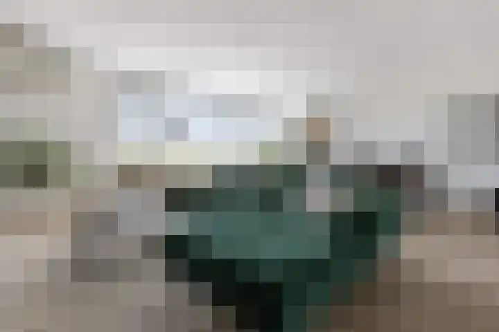 Maalakker 60 Eindhoven thumbnail 5