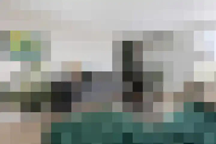 Maalakker 60 Eindhoven thumbnail 6