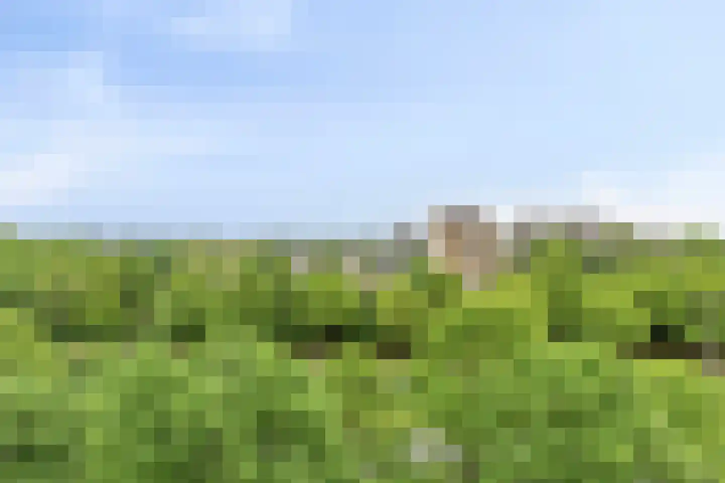 Maalakker 76 A Eindhoven thumbnail 36