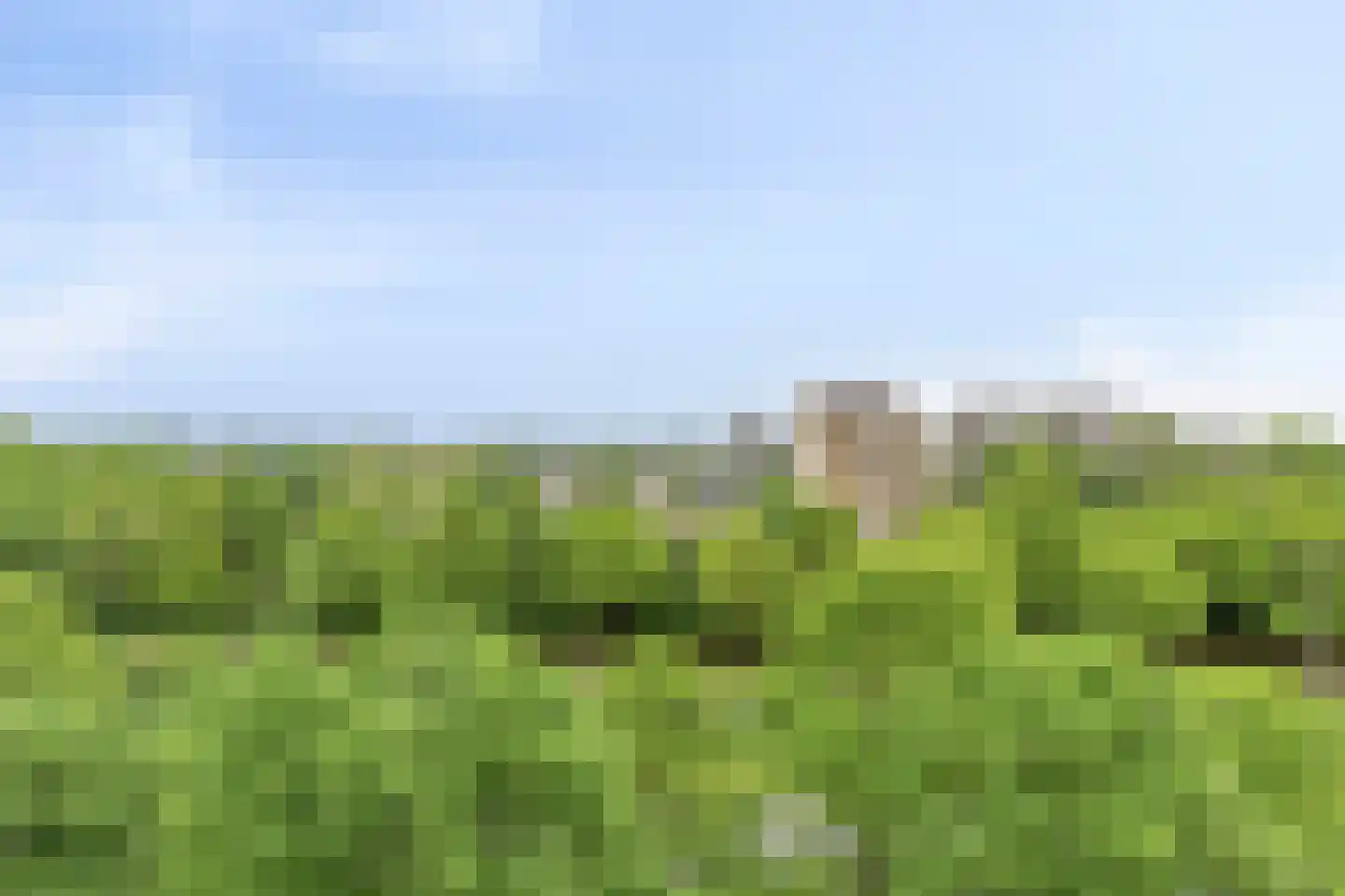 Maalakker 76 A Eindhoven thumbnail 40