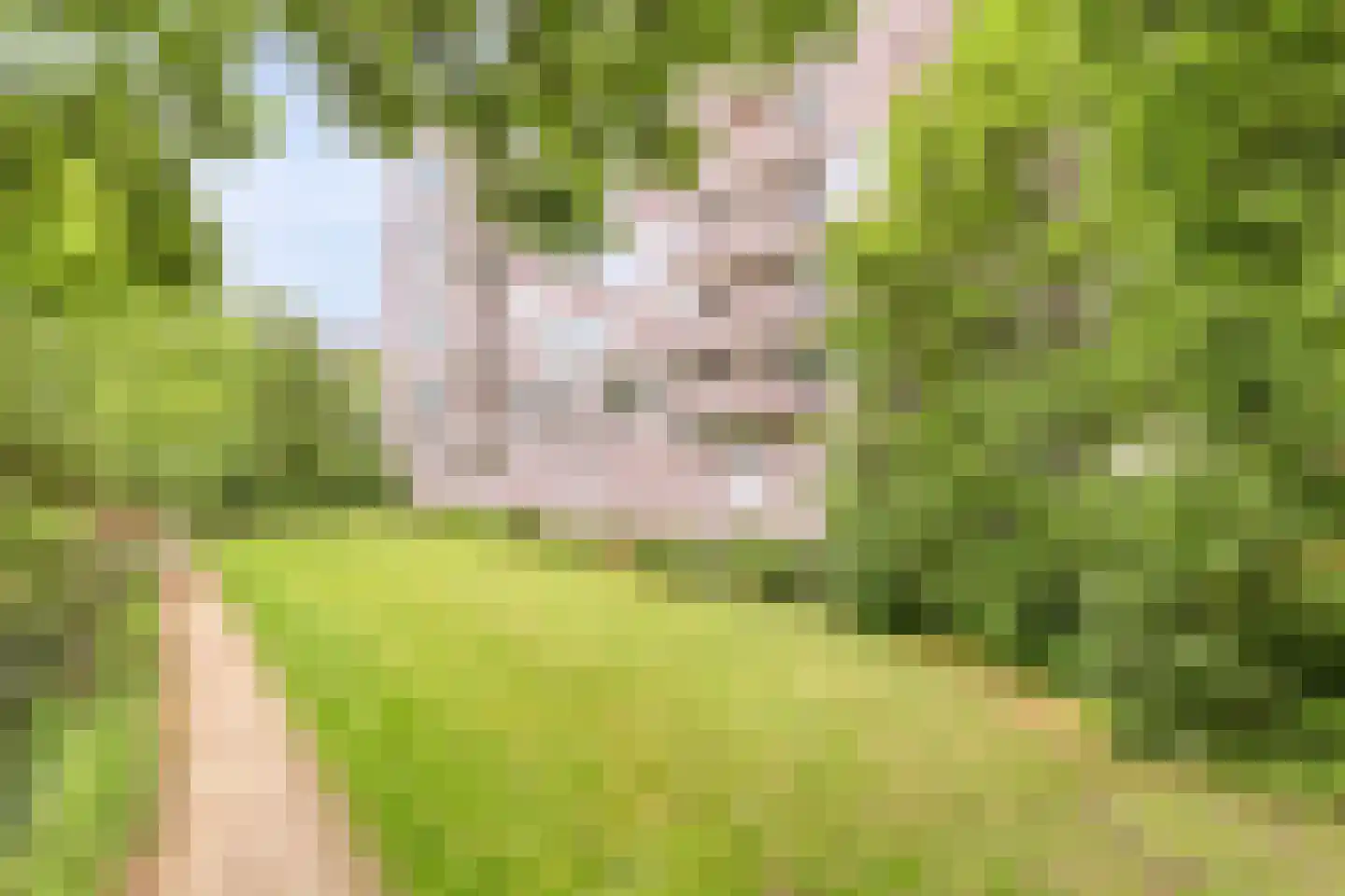 Maalakker 76 A Eindhoven thumbnail 43