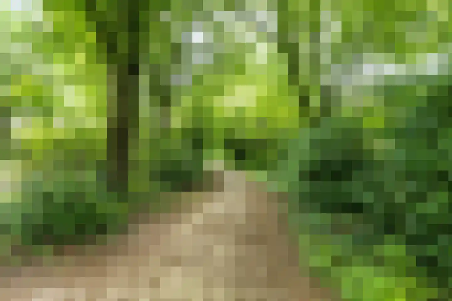 Maalakker 76 A Eindhoven thumbnail 44