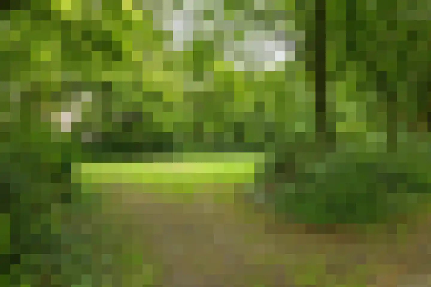 Maalakker 76 A Eindhoven thumbnail 45
